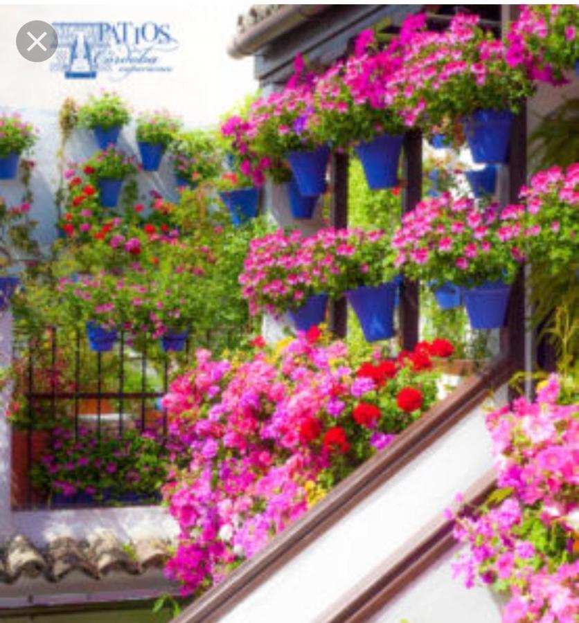 A 20 Metros De La Mezquita Catedral ,Apartamentos Turistico Cespedes 5 Кордова Экстерьер фото