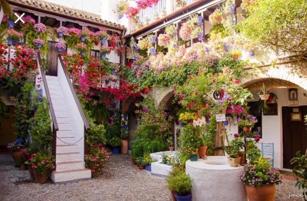 A 20 Metros De La Mezquita Catedral ,Apartamentos Turistico Cespedes 5 Кордова Экстерьер фото
