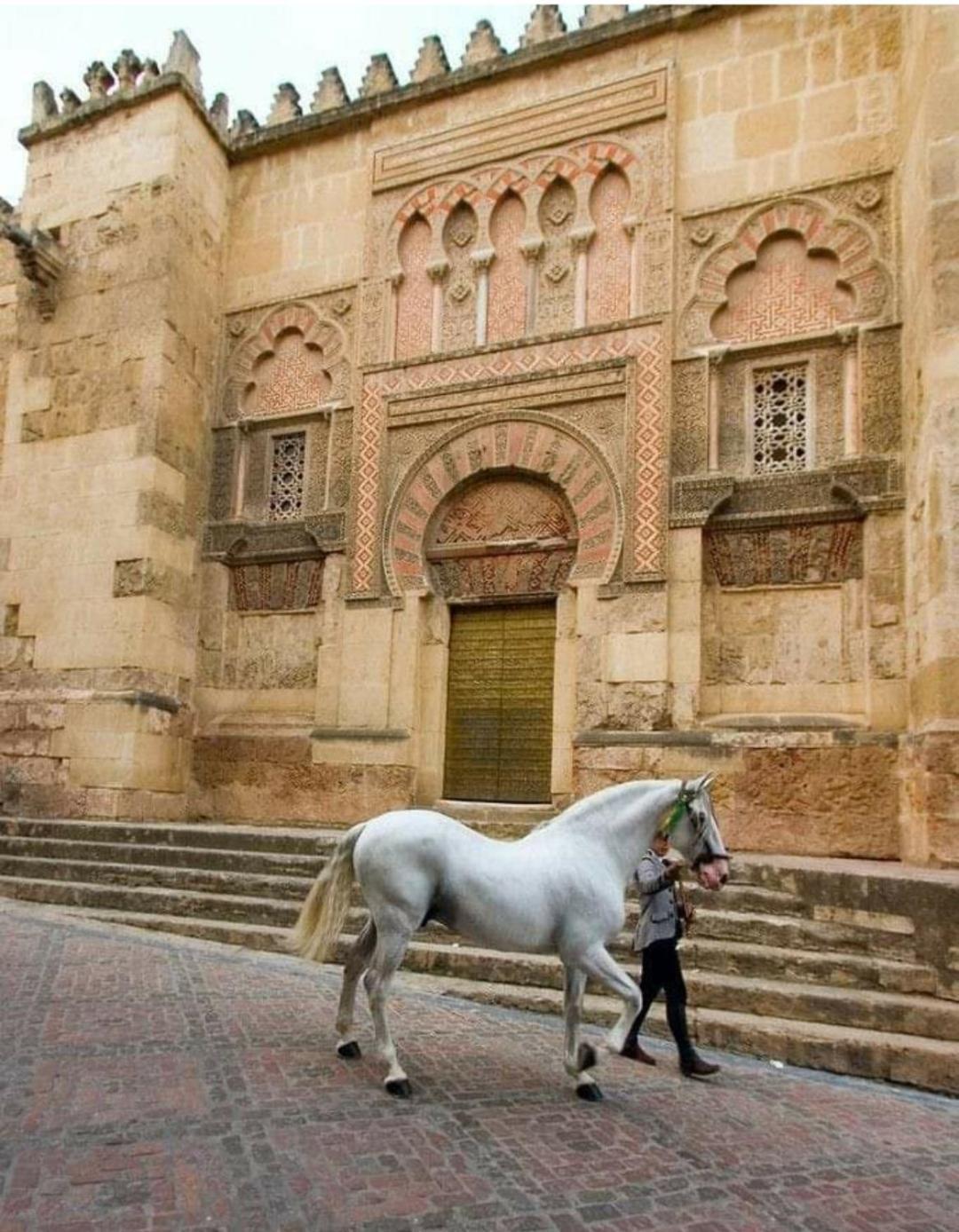 A 20 Metros De La Mezquita Catedral ,Apartamentos Turistico Cespedes 5 Кордова Номер фото